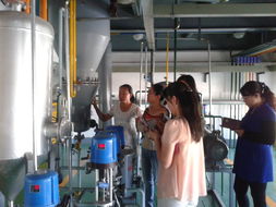 化學(xué)工程系煤化工教學(xué)工廠本學(xué)期教師培訓(xùn)圓滿結(jié)束，深化產(chǎn)教融合，提升教育服務(wù)質(zhì)量